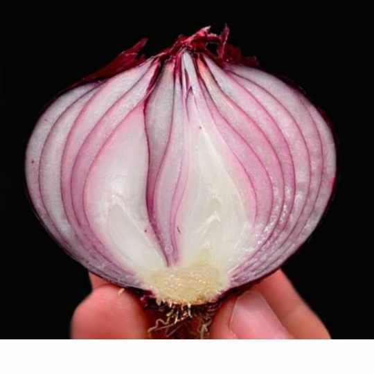 Erases Varicose Veins Like an Eraser! Top 5 Recipes with Red Onion