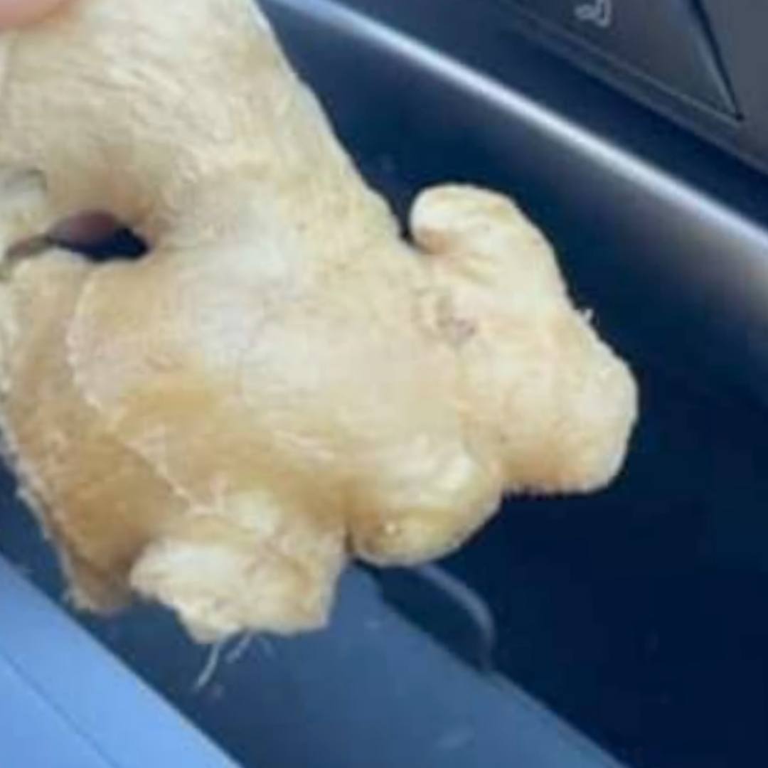 Why Keeping Ginger in Your Car Could Be a Lifesaver