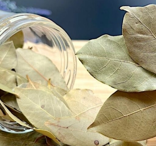 Discover the Magic of Bay Leaves for Revitalizing Your Hair