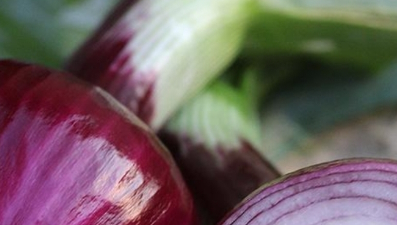 The Surprising Benefits of Eating Onions Every Day