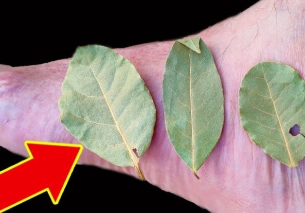 Discover the Benefits of Bay Leaf for Your Feet: A Natural Remedy